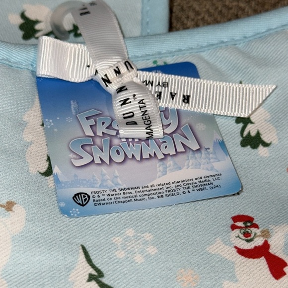 NWT Rae Dunn Warner Bro. Frosty The Snowman Christmas Holiday Set of Oven Mitts - Picture 3 of 7